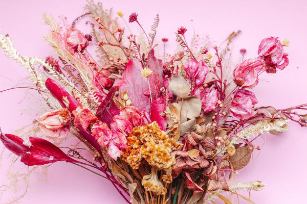 Dried Mint Leaves - dried mint leaves