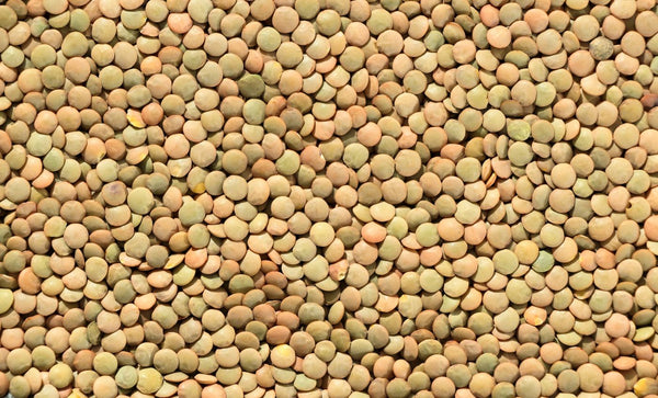 Mustard Seeds - brown mustard seeds