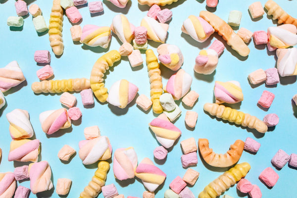 Round Shape Crackers - crisp round crackers